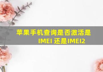 苹果手机查询是否激活是IMEI 还是IMEI2